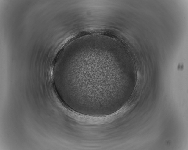 X0000092300048200709141329