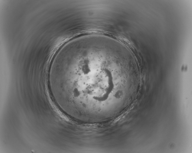 X0000092300049200709141328