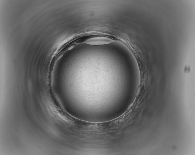 X0000092300050200709141328