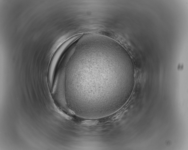 X0000092300051200709141328
