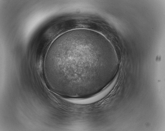 X0000092300052200709141328