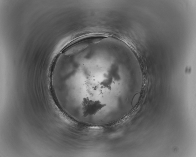X0000092300053200709141328