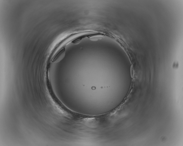 X0000092300054200709141328