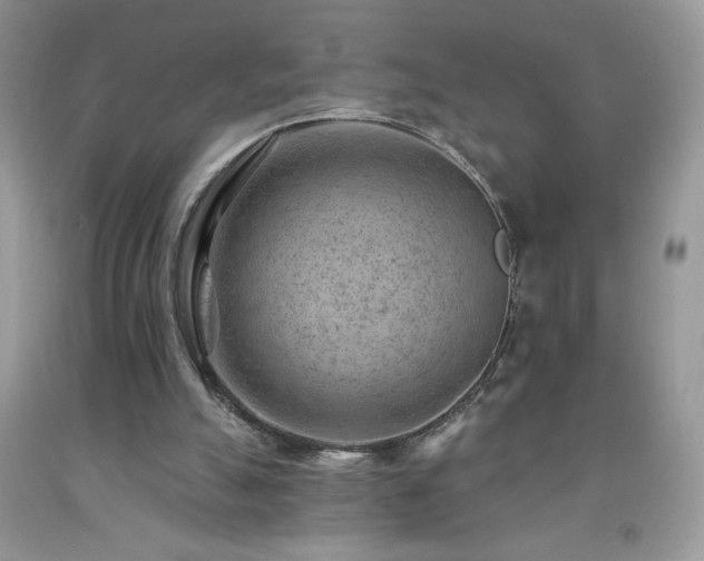 X0000092300055200709141328
