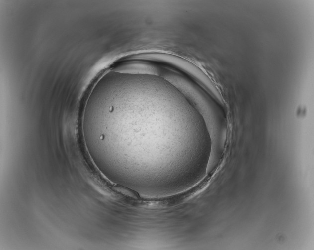 X0000092300056200709141328