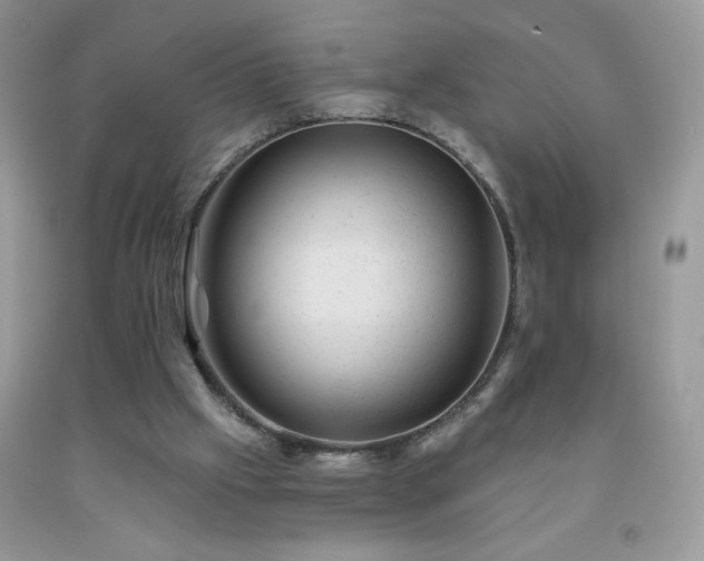 X0000092300057200709141328