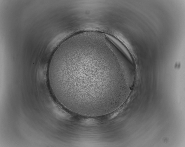 X0000092300058200709141328