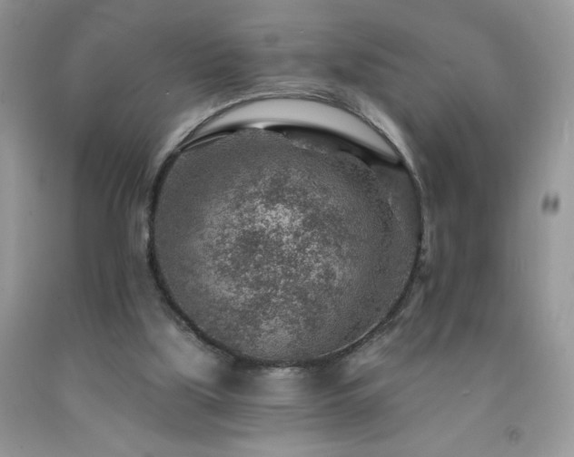 X0000092300059200709141328