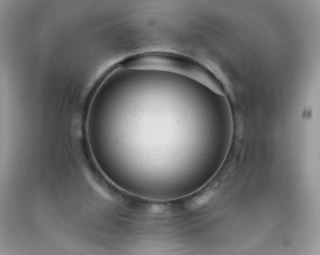 X0000092300060200709141328