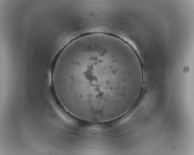 X0000092300061200709141328