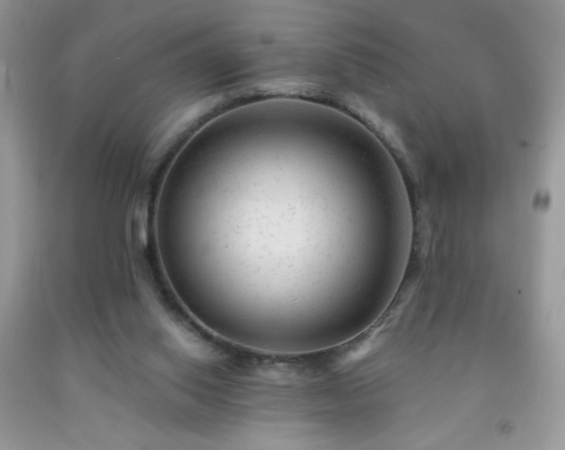 X0000092300062200709141328