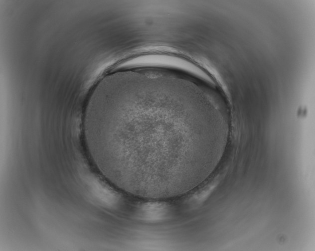 X0000092300063200709141328