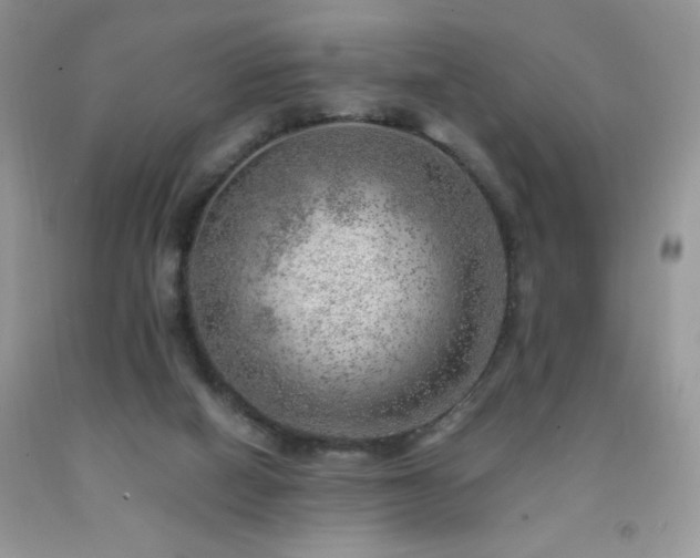 X0000092300066200709141328