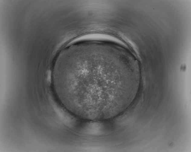 X0000092300067200709141328