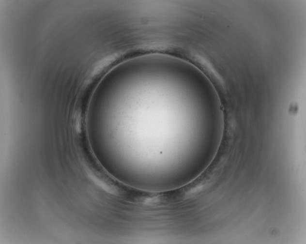 X0000092300068200709141328