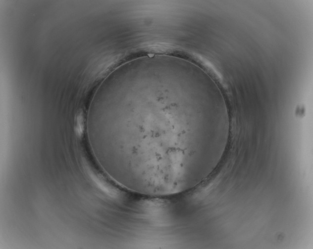 X0000092300069200709141328