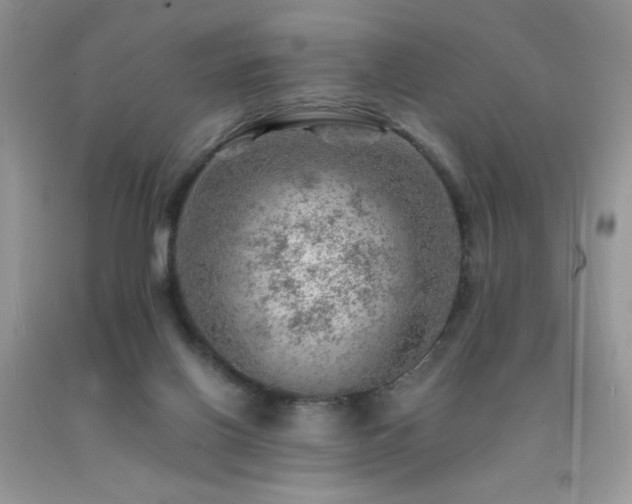 X0000092300070200709141328
