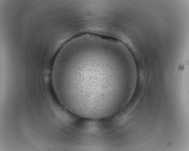 X0000092300071200709141328