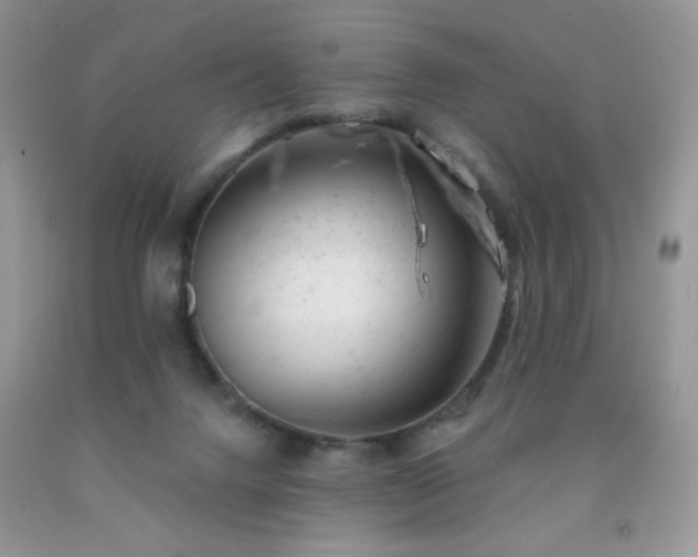 X0000092300072200709141328
