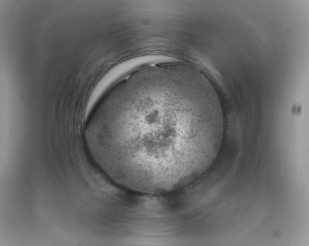 X0000092300073200709141329