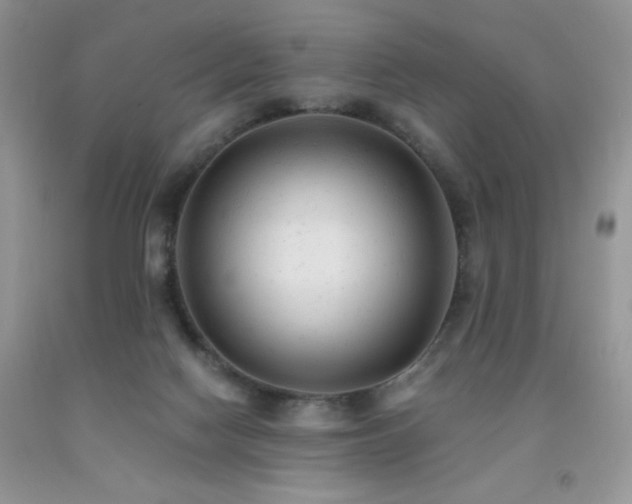 X0000092300074200709141329
