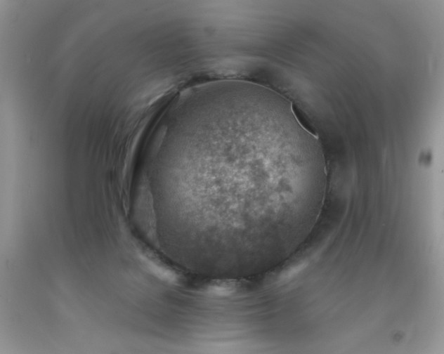 X0000092300076200709141329