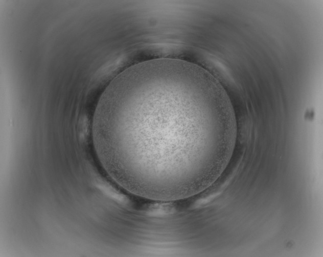 X0000092300077200709141329