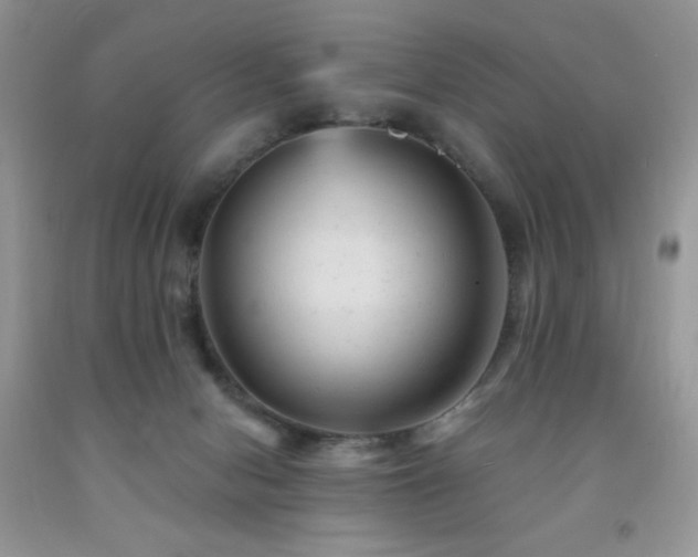 X0000092300078200709141329
