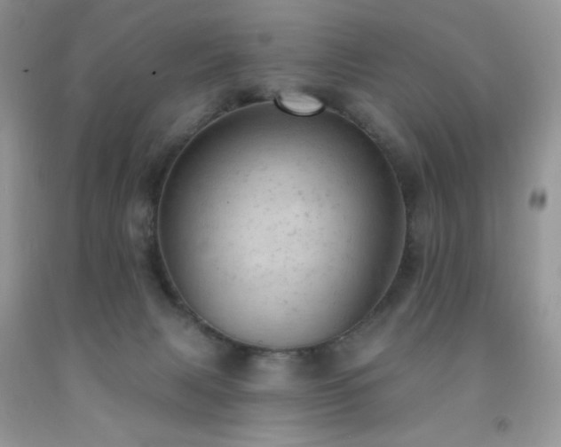 X0000092300079200709141329
