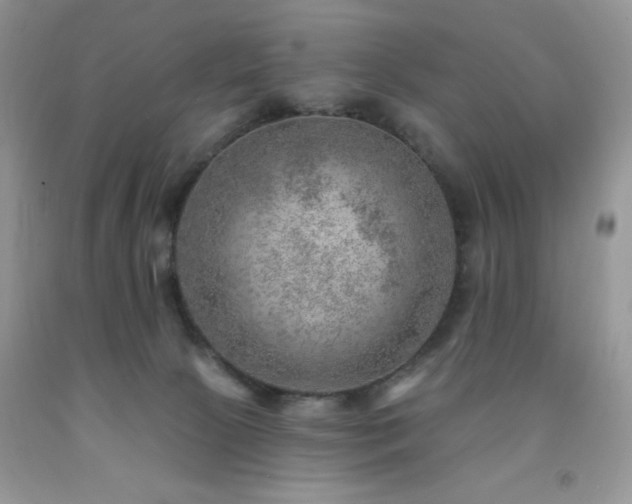X0000092300081200709141329
