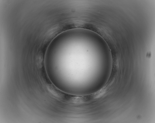 X0000092300082200709141329