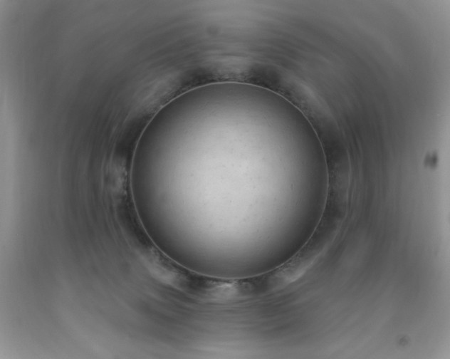 X0000092300083200709141329