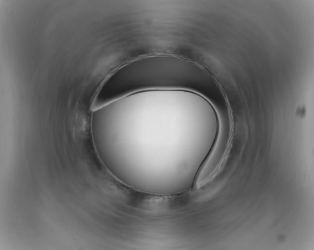 X0000092300084200709141329