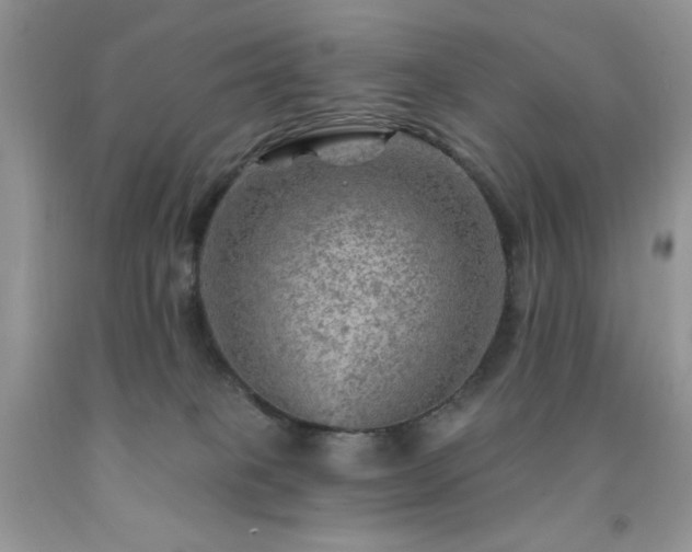 X0000092300085200709141329