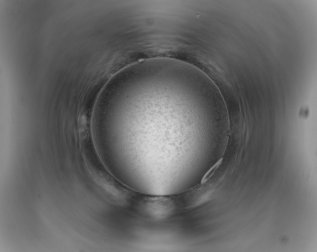 X0000092300087200709141329
