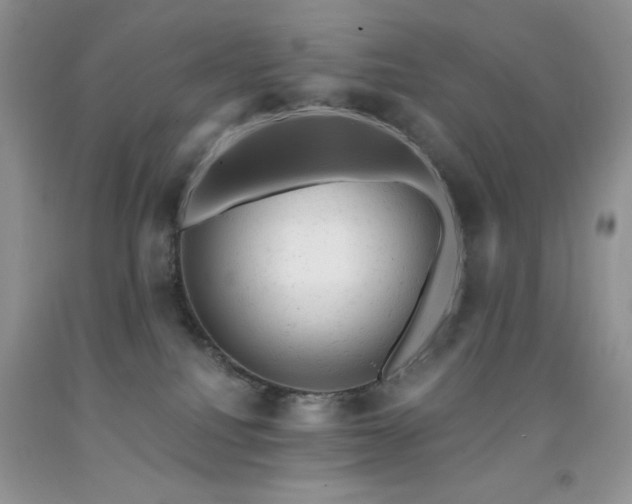 X0000092300088200709141329