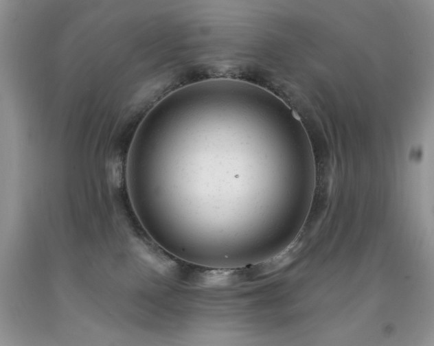 X0000092300090200709141329