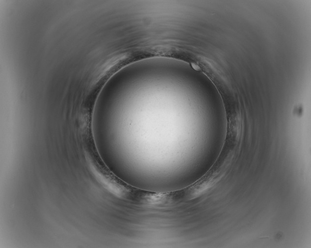 X0000092300092200709141329