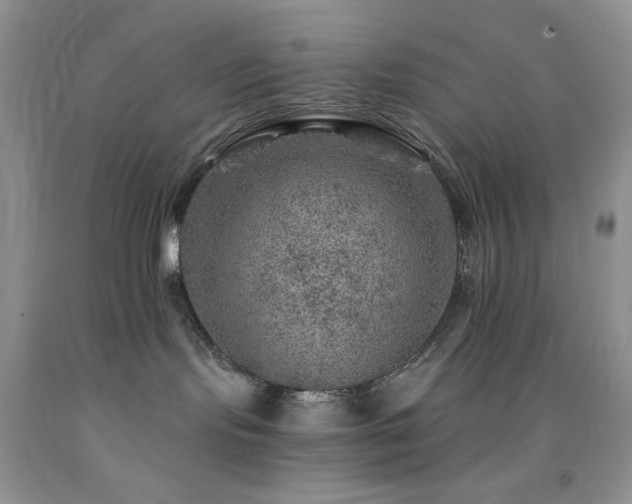 X0000092300095200709141329