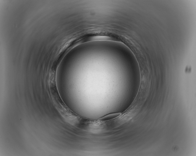 X0000092300096200709141329