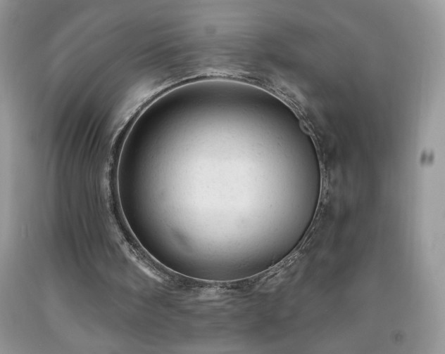 X0000092300098200709141328