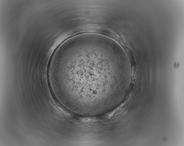 X0000092300099200709141328
