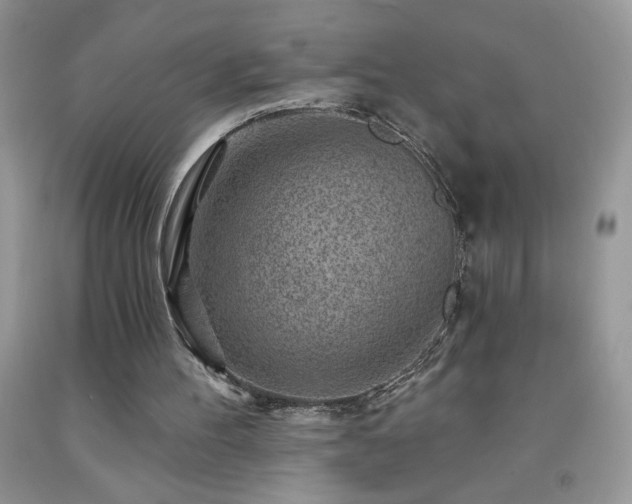 X0000092300100200709141328