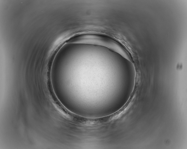 X0000092300101200709141328