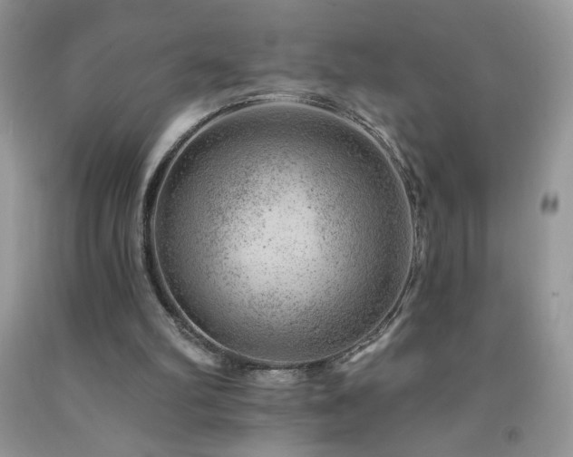 X0000092300102200709141328