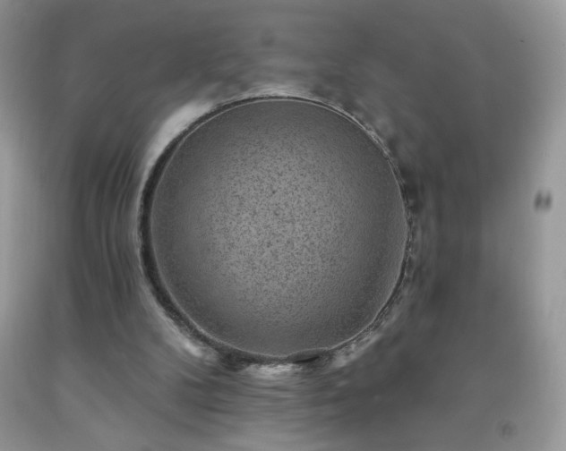 X0000092300104200709141328