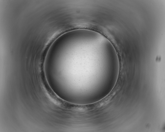 X0000092300106200709141328