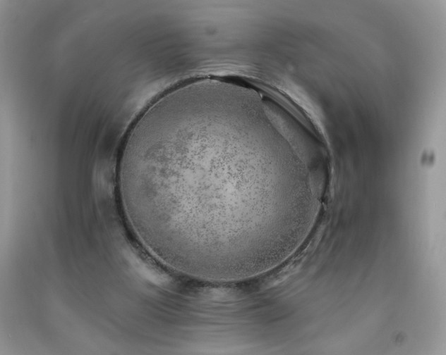 X0000092300107200709141328
