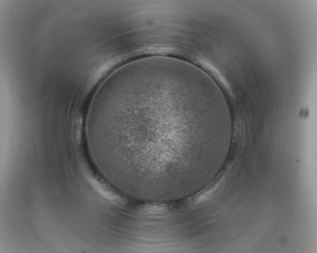 X0000092300110200709141328