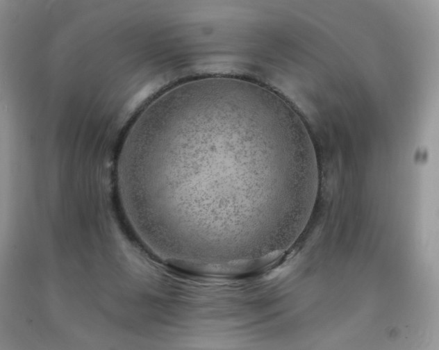 X0000092300111200709141328